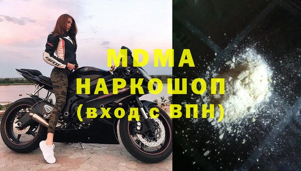 стаф Алзамай