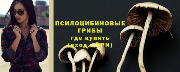 PSILOCYBIN Абинск