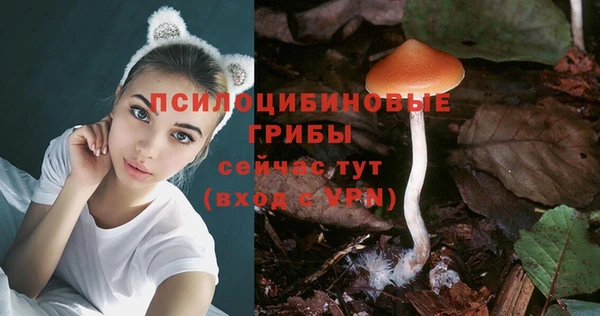 PSILOCYBIN Абинск
