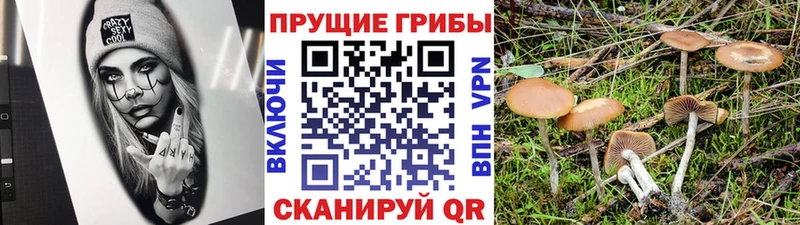 нарко площадка какой сайт  Приволжский  Галлюциногенные грибы GOLDEN TEACHER 